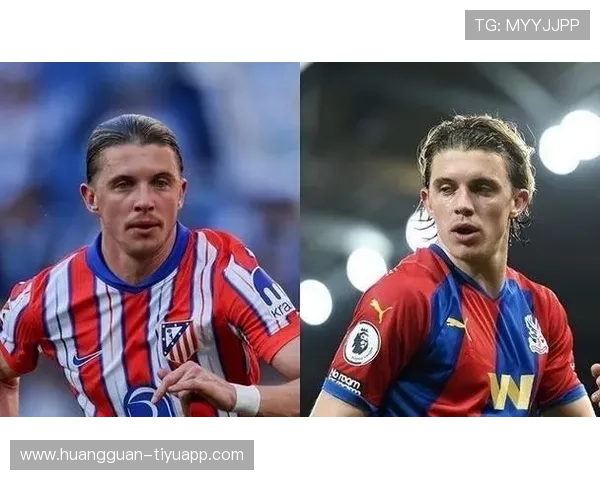 水晶宫俱乐部最新动态揭晓赛季目标与球员转会计划